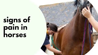 Signs of Pain in Horses