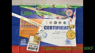 Heian Godan Хеан Годан Little Valdesi Open Georgia 2018 Wkf
