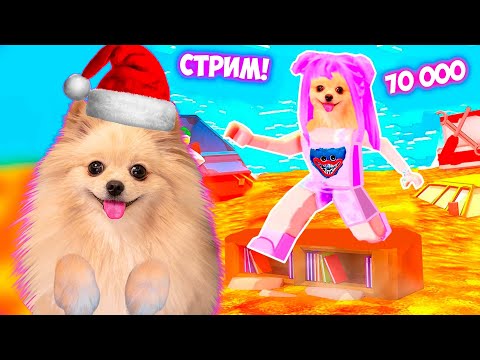 НОВЫЕ ИГРЫ В РОБЛОКС ! 70000 ПОДПИСЧИКОВ ! СТРИМ ROBLOX