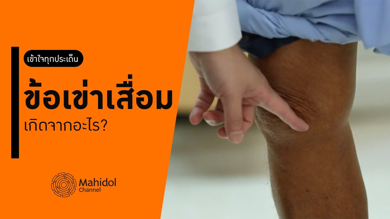 "ข้อเข่าเสื่อม" เข้าใจทุกประเด็น เกิดจากอะไร? รักษาอย่างไร? [หาหมอ by Mahidol Channel]