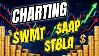 Technical Analysis Deep Dive: Charting Key Levels on $TBLA, $WMT & $AAP