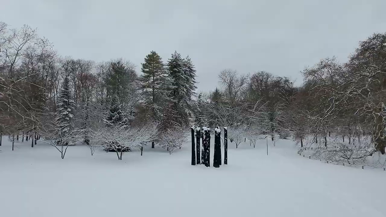 Yerres sous la neige - janvier 2026