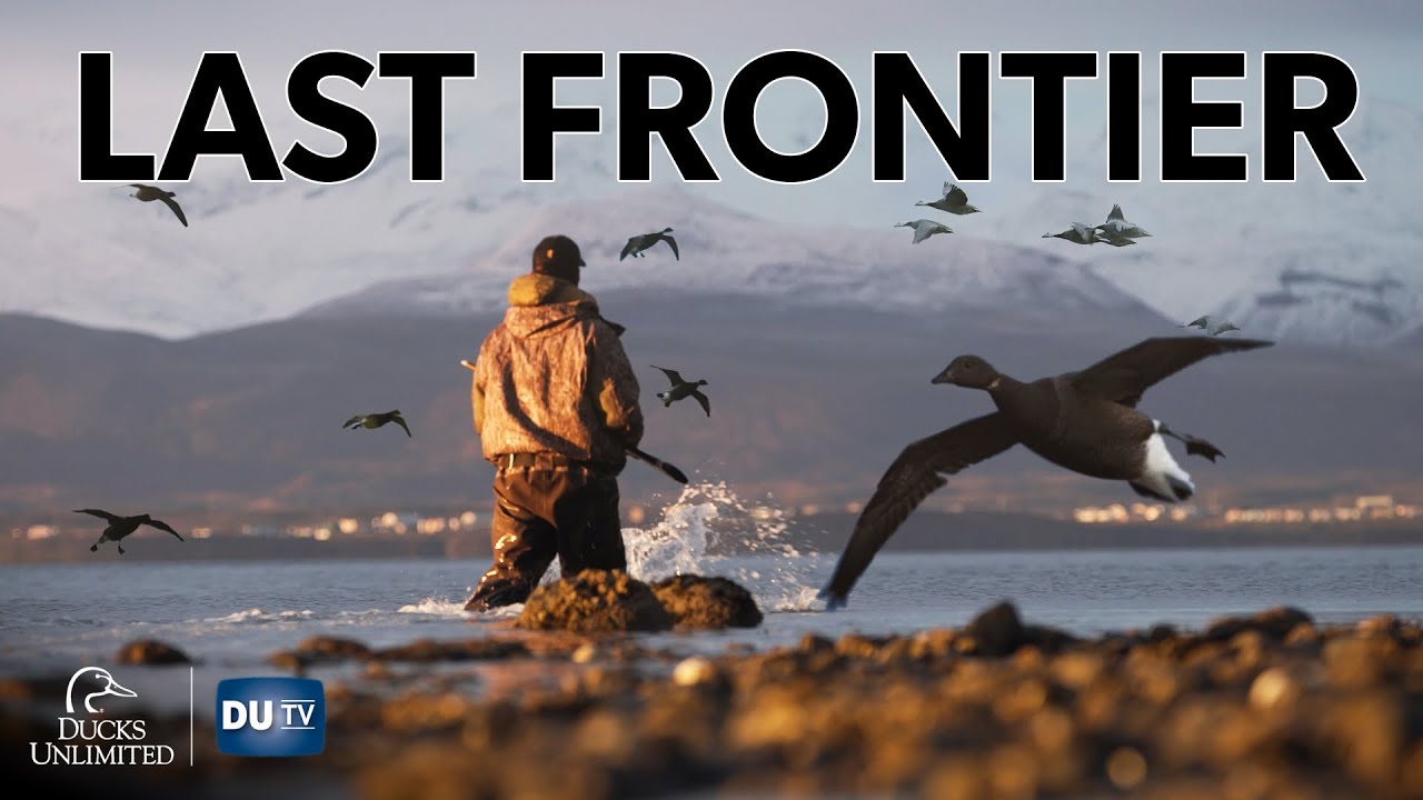 Охота на уток в Колд-Бей, Аляска, в самом сердце миграционного пути | DUTV 2025