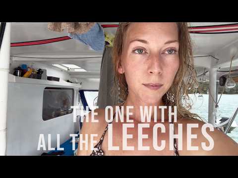 Beautiful Eagles and Bloodthirsty Leeches! 😱 Island Life Gets Wild! 