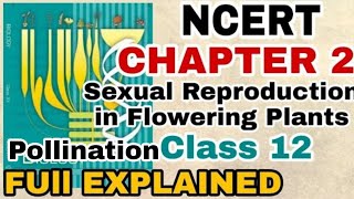 NCERT Ch-2 Sexual Reproduction in Flowering plants PART-3 class12 Bio Full Explanation BOARDS/NEET