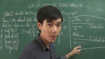 Con lắc đơn đặt trong thang máy