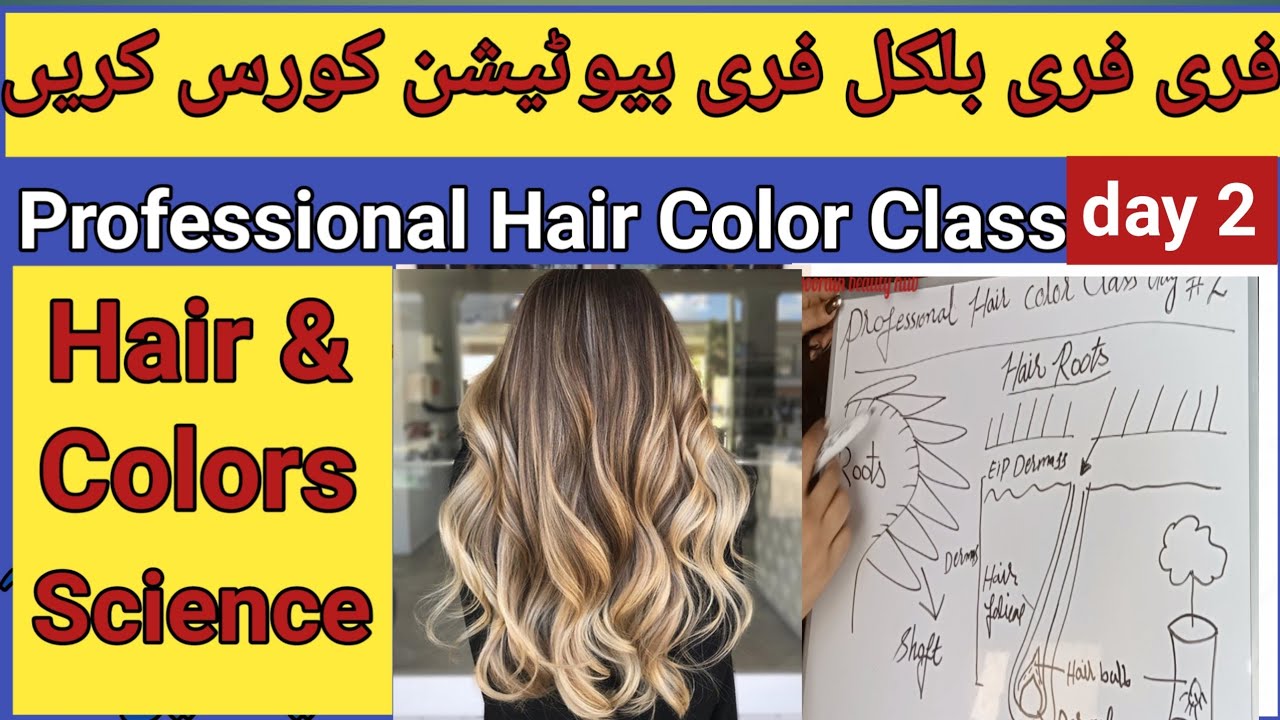 Hair Color Science Hair Color Science |Class 2 | Hair Color Theory In Urdu/ Hindi | Hair ...