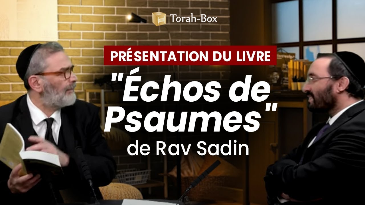 LA POÉSIE SPIRITUELLE DES PSAUMES DU ROI DAVID 🎻 TÉHILIM