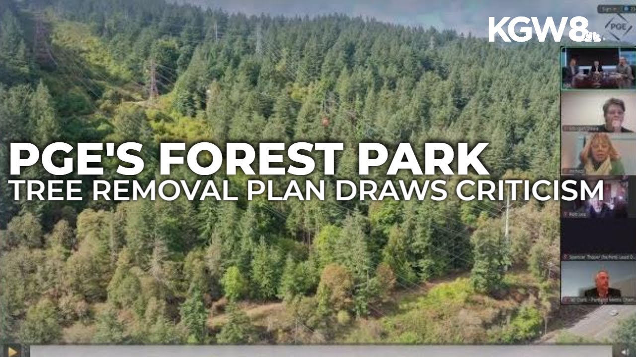 PGE’s Forest Park tree removal plan draws criticism in public hearing
