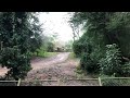 Wildlife Express POV Harambi Station to Rafiki's Planet Watch   Disney's Animal Kingdom