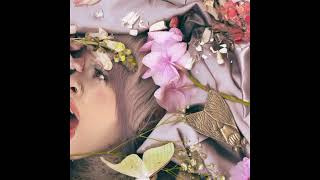 Possession - Melanie Martinez Official Audio Single