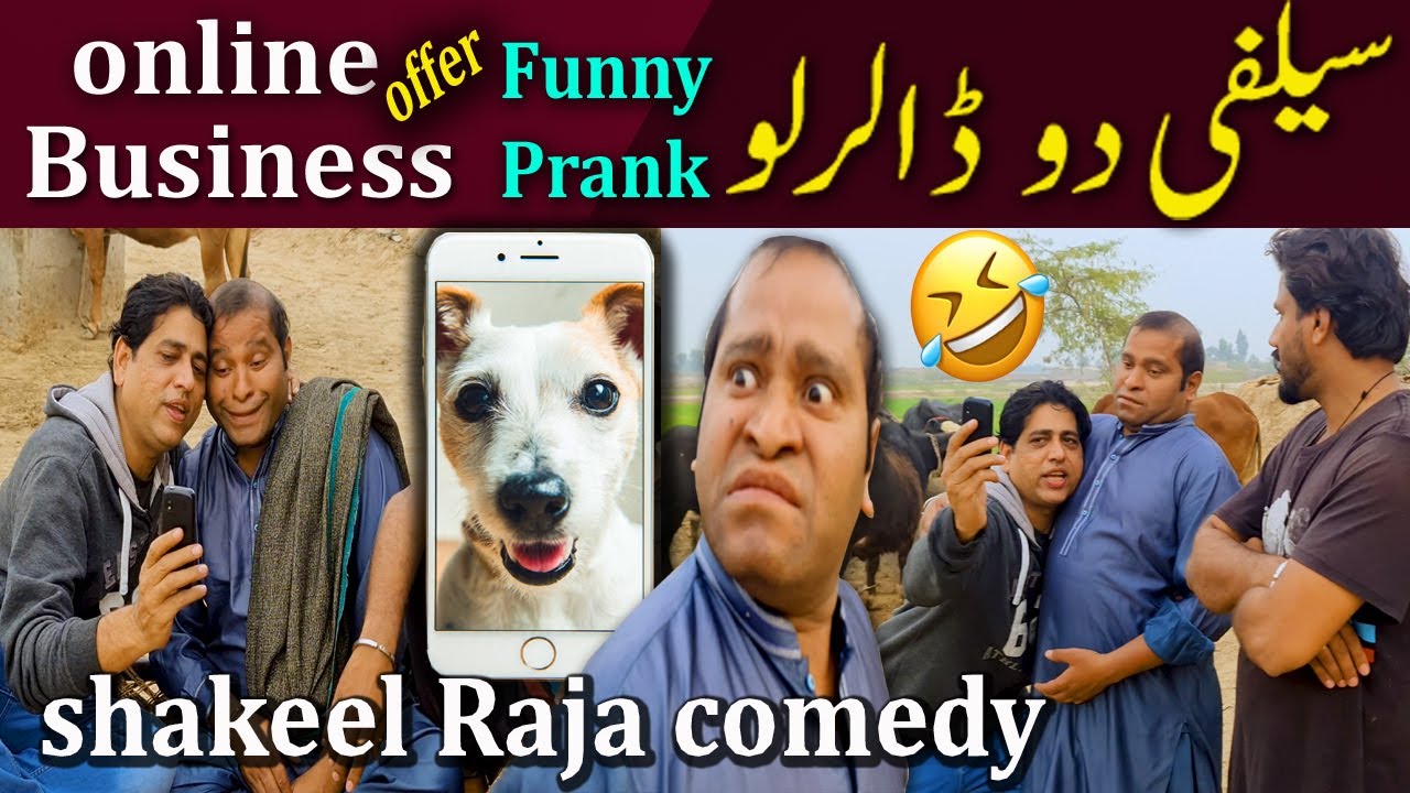 Dollars for a Selfie with a Dog 😂 | Funny Prank Gone Crazy