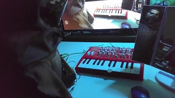 Arturia MicroBrute Running Thru Korg
