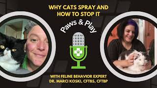 Why Cats Spray and How to Stop It — Paws and Play Podcast by FurLife 125 views 1 year ago 38 minutes