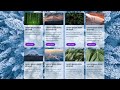 HTML Card - Using CSS grid