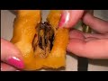 Cutting Into Fruit Reveals A Moving Stowaway || WooGlobe