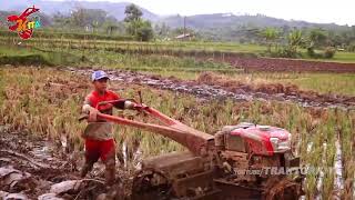 TRAKTOR SAWAH JOKI NYA AMIR jatoh