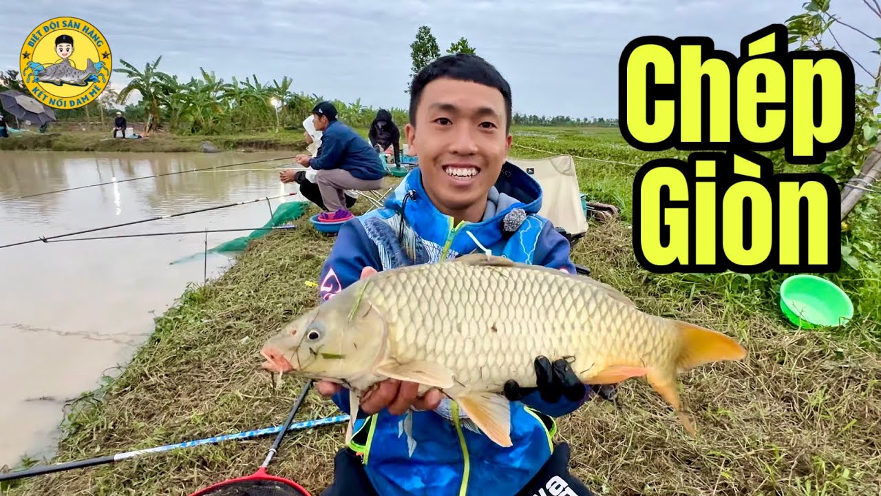 Đi Câu Cá Chép Giòn Về Nhúng Lẩu Từ 4 Giờ Sáng?