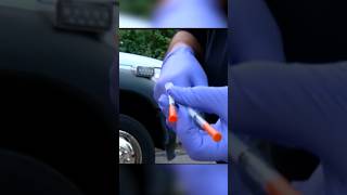 Setting an example for fighting overdoses