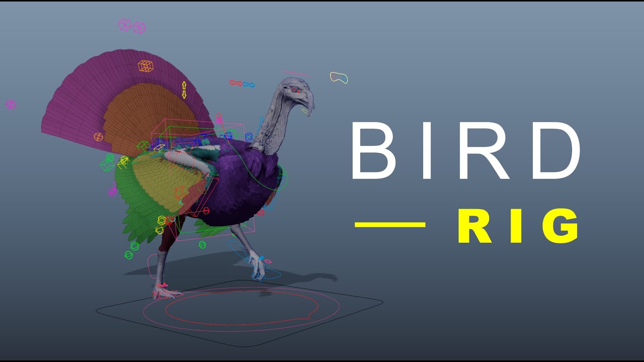 python scripting : auto bird rigging in maya by subbu... A bird maya rig - YouTube