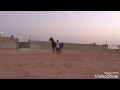 المهره جوهرة السمي ماشاء الله 