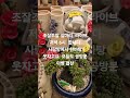 2024년 9월 15일