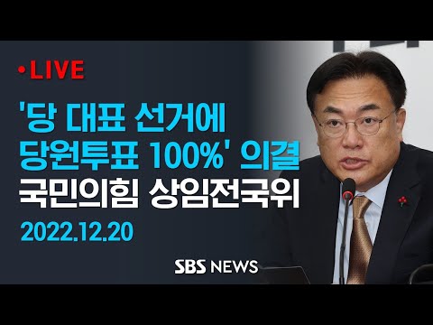 차기 당 대표 선출에 &amp;#39;당원투표 <strong>100</strong>%&amp;#39; 의결..국민의힘 상임전국위원회 / <strong>SBS</strong>