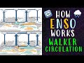 How ENSO Works: Walker Circulation