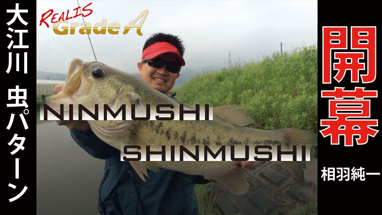 Lure United States - Aiming for big bass with insect and frog