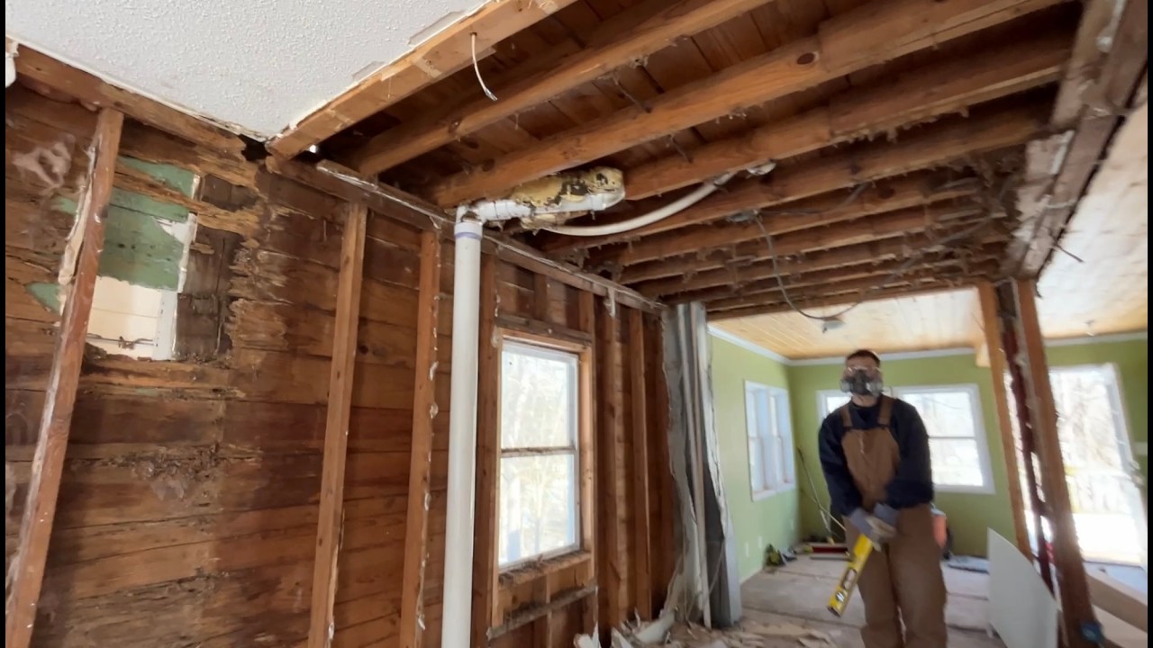 Demo day 4 -- mostly brainstorming