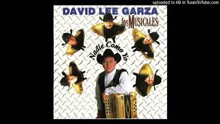 Video thumbnail of "David Lee Garza - Para Ti (1999)"