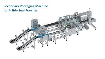 Pouch Packaging: Secondary Packaging Automation | Pouch Packing Machine