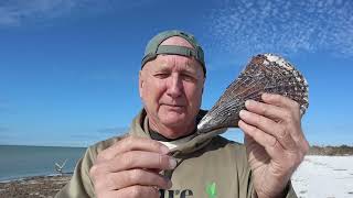 The Most Exclusive Fabric In The World Is Made From Threads Of Pen Shells