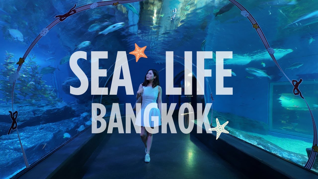 EP8. SEALiFE Bangkok...จะพาเด็กๆ มาเที่ยว หรือควงแขนแฟนมาเดทก็ฟิน