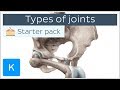 Types of joints in the human body  anatomy  examples  kenhub