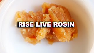 L'ORANGE & ANIMAL FACE LIVE ROSIN FROM RISE | STRAIN REVIEW BY RANDY RHOADS FL