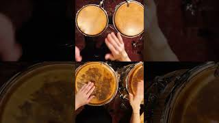 Latin Rock on Conga & Bongo! 🥁🪘🔥 - YouTube