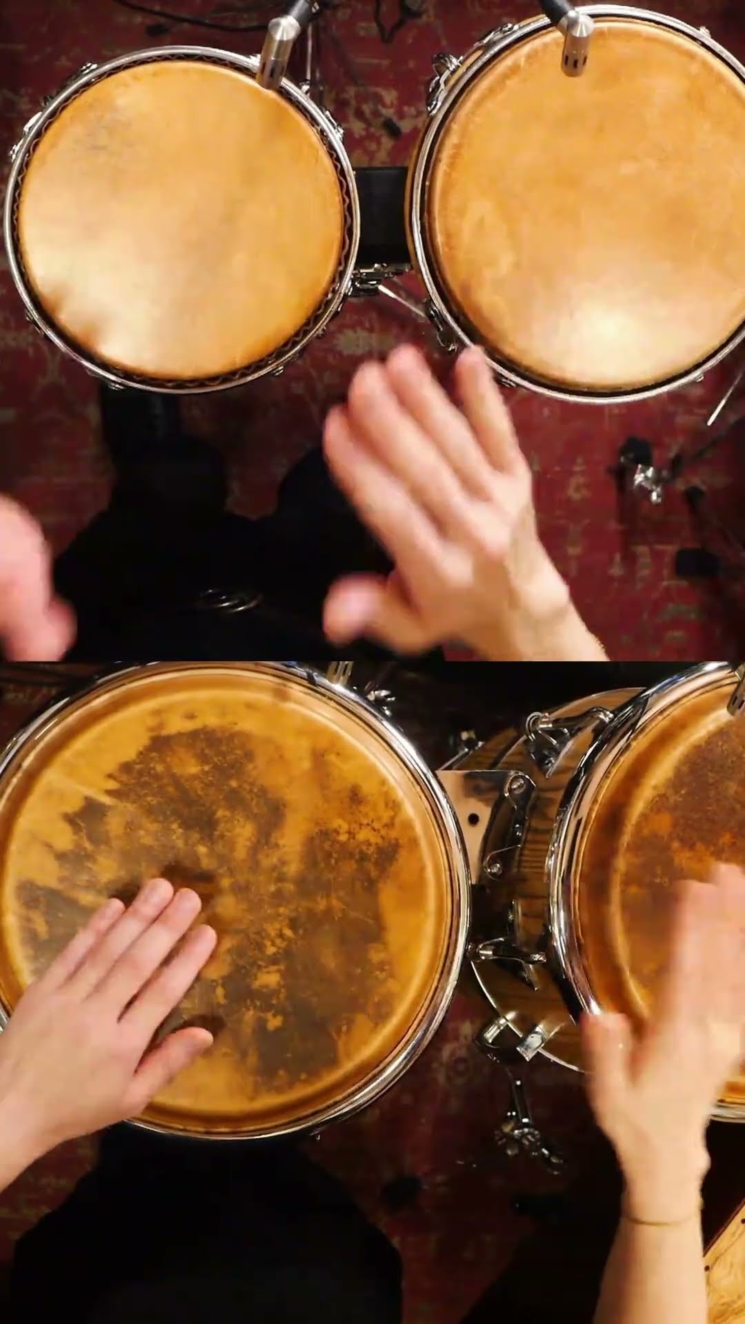 Latin Rock on Conga & Bongo! 🥁🪘🔥 - YouTube