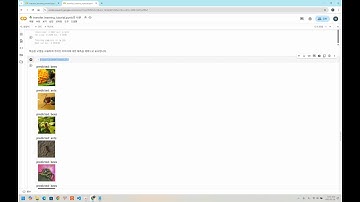 PyTorch로 구현한  전이학습(Transfer Learning) 살펴보기