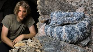 Abandoned mine shaft FULL OF RATTLESNAKES!