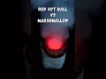 Red hot ball vs Marshmallow ✅ #satisfying #experiment #science #coconutmall #asmr #redhotball