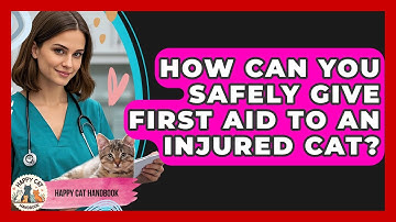 How Can You Safely Give First Aid To An Injured Cat? - Happy Cat Handbook