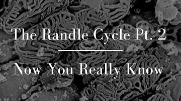 The Randle Cycle Part 2: If you didn