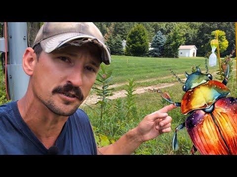 How to DEFEAT Japanese Beetles & Recycle Them