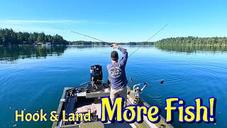 Tips & Tricks To Land More Fish