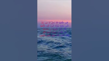سورة البقرة اية 230 - مع صوت البحر بصوت جميل - فَإِن طَلَّقَهَا فَلاَ تَحِلُّ لَهُ مِن بَعْدُ