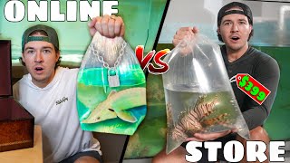 BUYING Fish ONLINE Vs In-STORE Shopping SPREE!!