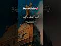 Beautiful Quran Recitation | Tilawat of Holy Quran #shorts #tilawat #egzonibrahimi #foryou
