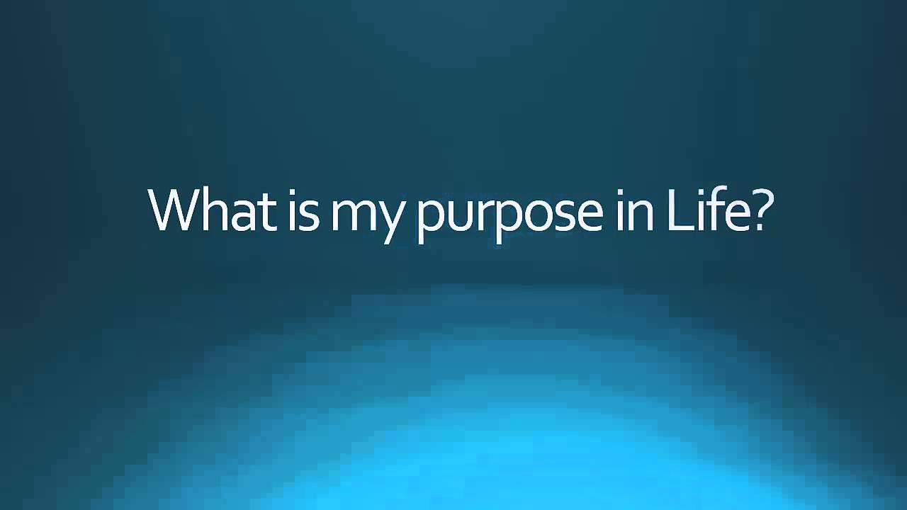 What is my purpose in life? - YouTube