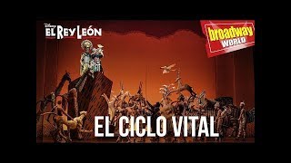 EL REY LEÓN - 'El Ciclo Vital' (Madrid, 2019)